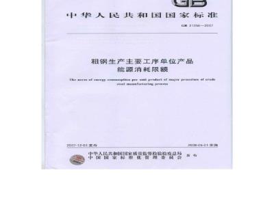 GB 21256-2007 粗钢生产主要工序单位产品能源消耗限额