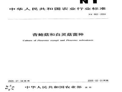 NY 862-2004 杏鲍菇和白灵菇菌种