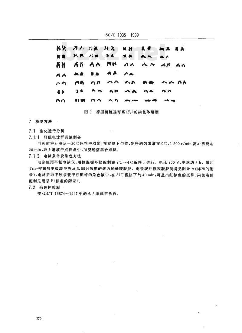 SC/T 1035-1999 德国镜鲤选育系