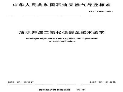 SY/T 6565-2003 油水井注二氧化碳安全技术要求