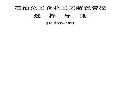 SH 3035-1991 石油化工企业工艺装置管径选择导则