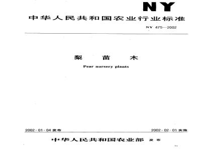 NY 475-2002 梨苗木