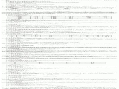 SN/T 0852-2000 进出口蜂蜜检验方法