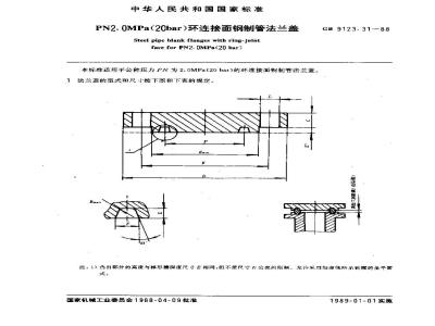 GB/T 9123.31-1988 PN2.0MPa(20bar)环连接面钢制管法兰盖
