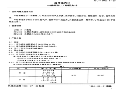 JB/T 6803.1-1993 液体压力计 一般杯形、U形压力
