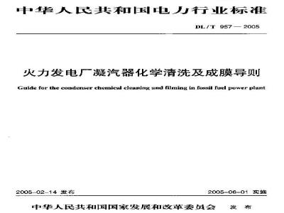 DL/T 957-2005 火力发电厂凝汽器化学清洗及成膜导则