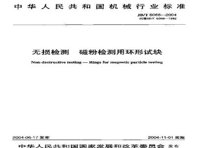 JB/T 6066-2004 无损检测 磁粉检测用环形试块