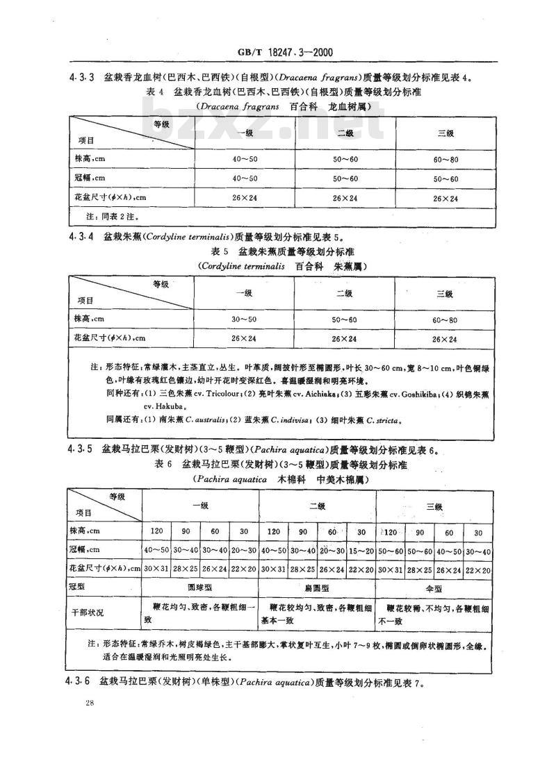 GB/T 18247.3-2000 主要花卉产品等级 第3部分:盆栽观叶植物 GB/T 18247.3-2000 主要花卉产品等级 第3部分:盆栽观叶植物