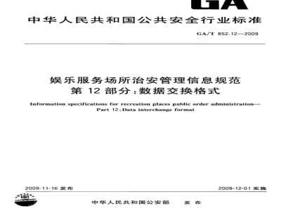 GA/T 852.12-2009 娱乐服务场所治安管理信息规范 第12部分：数据交换格式