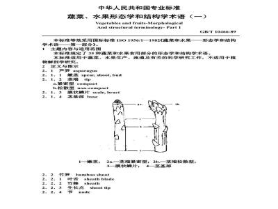 GB/T 10466-1989 蔬菜、水果形态学和结构学术语