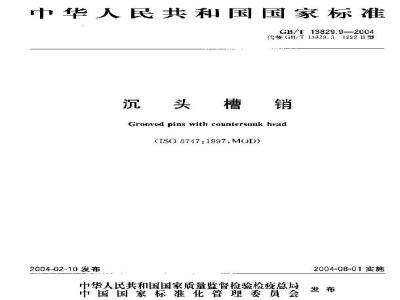 GB/T 13829.9-2004 沉头槽销