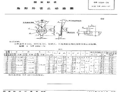 GB 1024-1976 角形外舌止动垫圈