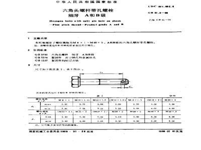 GB/T 31.3-1988 六角头螺杆带孔螺栓 细牙 A和B级