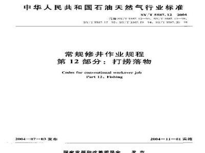 SY/T 5587.12-2004 常规修井作业规程 第12部分：打捞落物