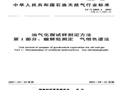 SY/T 6009.1-2003 油气化探试样测定方法 第1部分：酸解烃测定气相色谱法