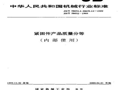 JB/T 58651.4-1999 紧固件产品质量分等 螺母