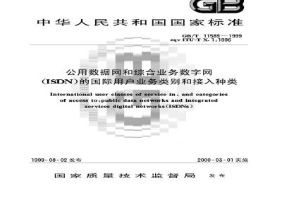 GB/T 11589-1999 公用数据网和综合业务数字网(ISDN)的国际用户业务类别和接入种类