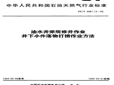 SY/T 5587.13-1993 Methods for salvaging small fallen objects in conventional well repair operations for oil and water wells