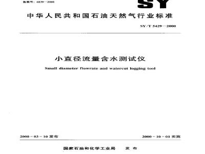 SY/T 5429-2000 小直径流量含水测试仪