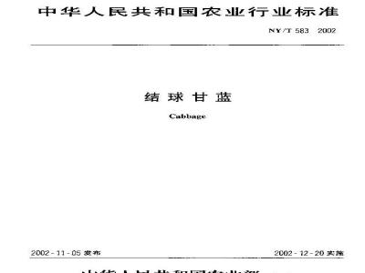 NY/T 583-2002 Cabbage