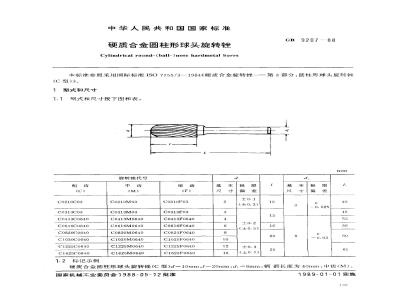 GB/T 9207-1988 硬质合金圆柱形球头旋转锉