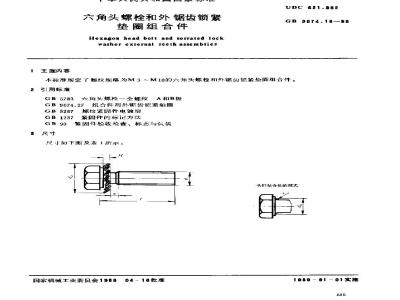 GB/T 9074.16-1988 六角头螺栓和外锯齿锁紧垫圈组合件