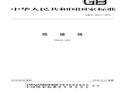 GB/T 24917-2010 眼镜阀