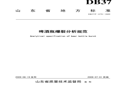 Analytical specification of beer bottle burst