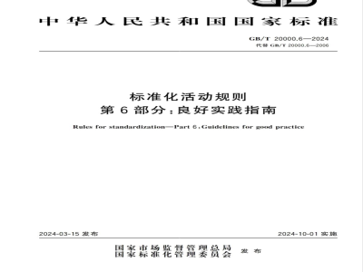 GB/T 20000.6-2024标准化活动规则 第6部分：良好实践指南 
