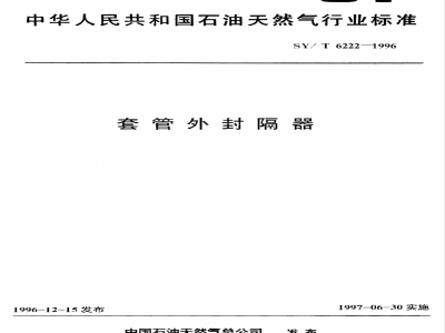 SY/T 6222-1996 套管外封隔器