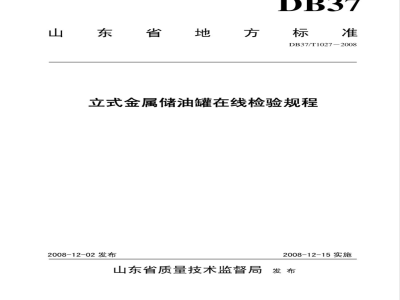DB37/T 1027-2008 立式金属储油罐在线检验规程