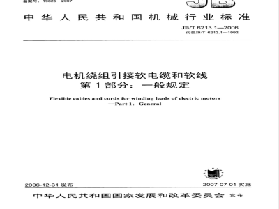 JB/T 6213.1-2006 电机绕组引接软电缆和软线 第1部分：一般规定