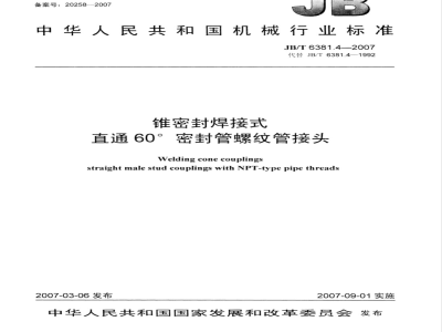 JB/T 6381.4-2007 锥密封焊接式 直通60°密封管螺纹管接头