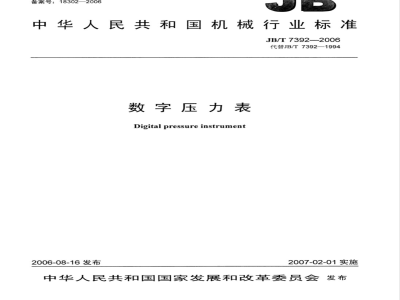 JB/T 7392-2006 数字压力表