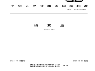 GB/T 43757-2024锁紧盘 