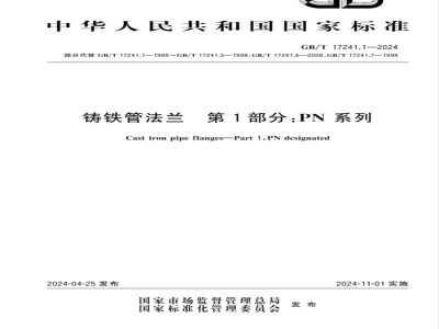 GB/T 17241.1-2024铸铁管法兰 第1部分：PN系列 
