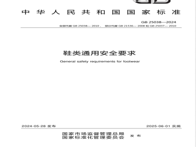 GB 25038-2024鞋类通用安全要求 