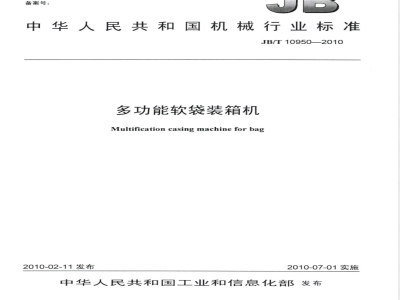 JB/T 10950-2010 多功能软袋装箱机