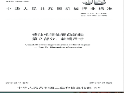 JB/T 9731.2-2010 柴油机喷油泵凸轮轴  第2部分：轴端尺寸