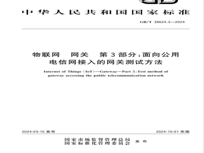 GB/T 38624.3-2024物联网 网关 第3部分：面向公共电信网接入的网关测试方法 