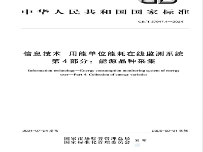 GB/T 37947.4-2024信息技术 用能单位能耗在线监测系统 第4部分：能源品种采集 
