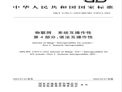 GB/T 41782.4-2024物联网 系统互操作性 第4部分：语法互操作性 