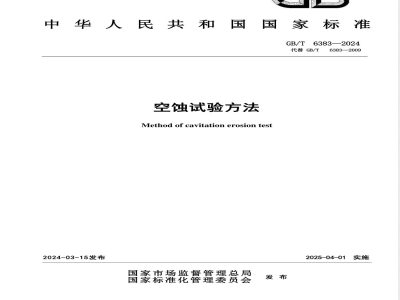 GB/T 6383-2024空蚀试验方法 