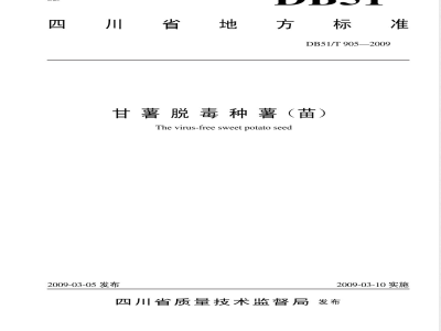 DB51/T 905-2009 甘薯脱毒种薯(苗)质量标准