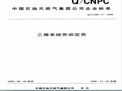 Q/CNPC 17-1999 乙烯系统劳动定员