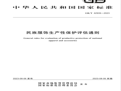 GB/T 42939-2023民族服饰生产性保护评估通则 