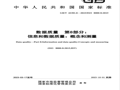 GB/T 42381.8-2023数据质量 第8部分：信息和数据质量：概念和测量 