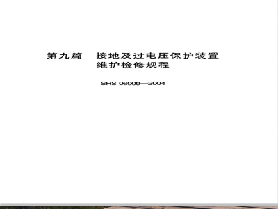 SHS 06009-2004 接地及过电压保护装置维护检修规程