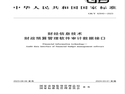 GB/T 42940-2023财经信息技术 财政预算管理软件审计数据接口 