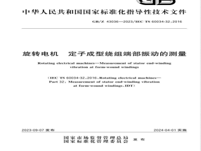 GB/Z 43036-2023旋转电机 定子成型绕组端部振动的测量 